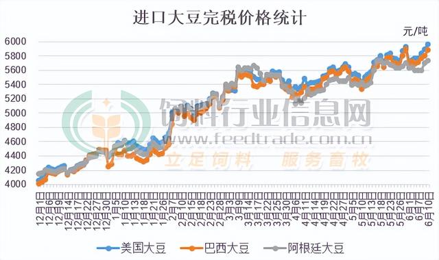 進口大豆價格最新動態分析