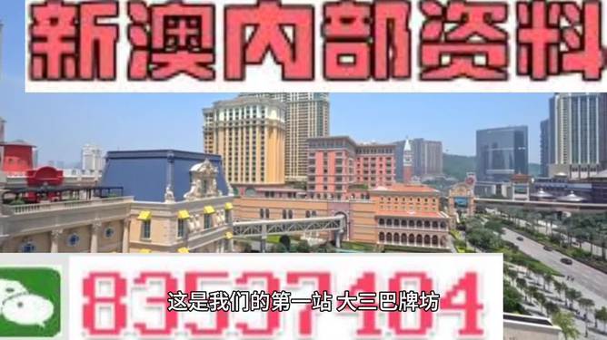 2024新澳門精準資材免費|精選解釋解析落實