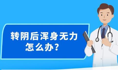 新澳精準資料免費提供|精選解釋解析落實