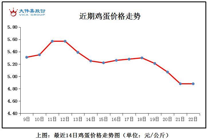 最新消息雞旦走勢(shì)