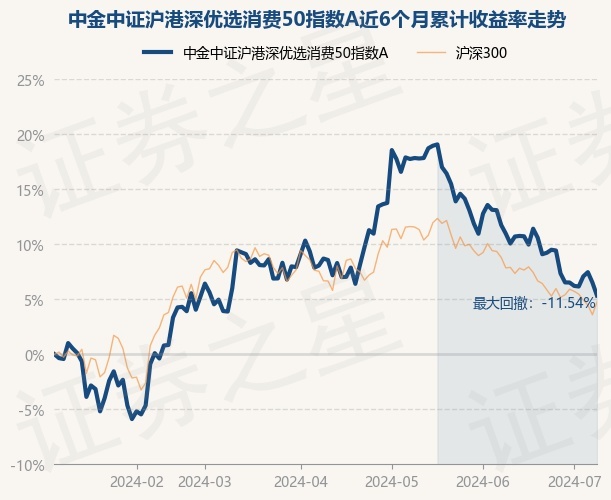 中金策略基金凈值最新