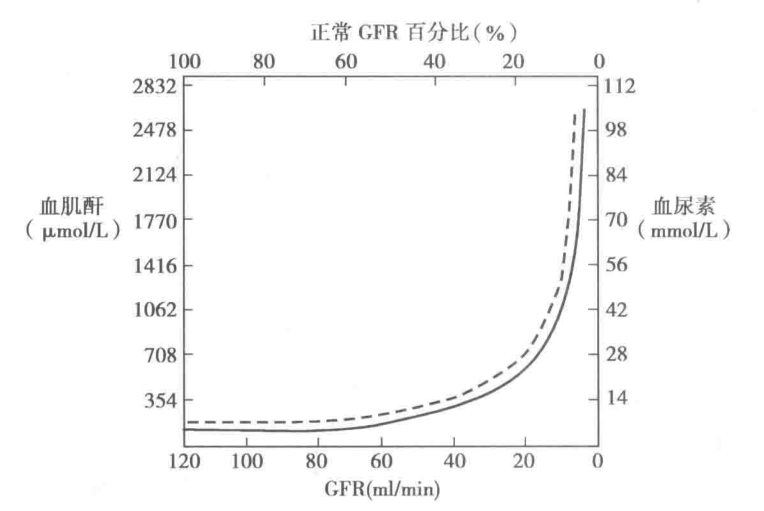 血肌酐正常值最新標準2022