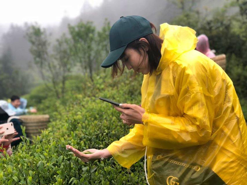 武隆白馬山最新消息