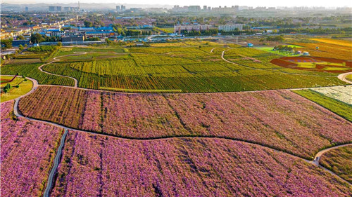 鄒城市唐村鎮規劃最新